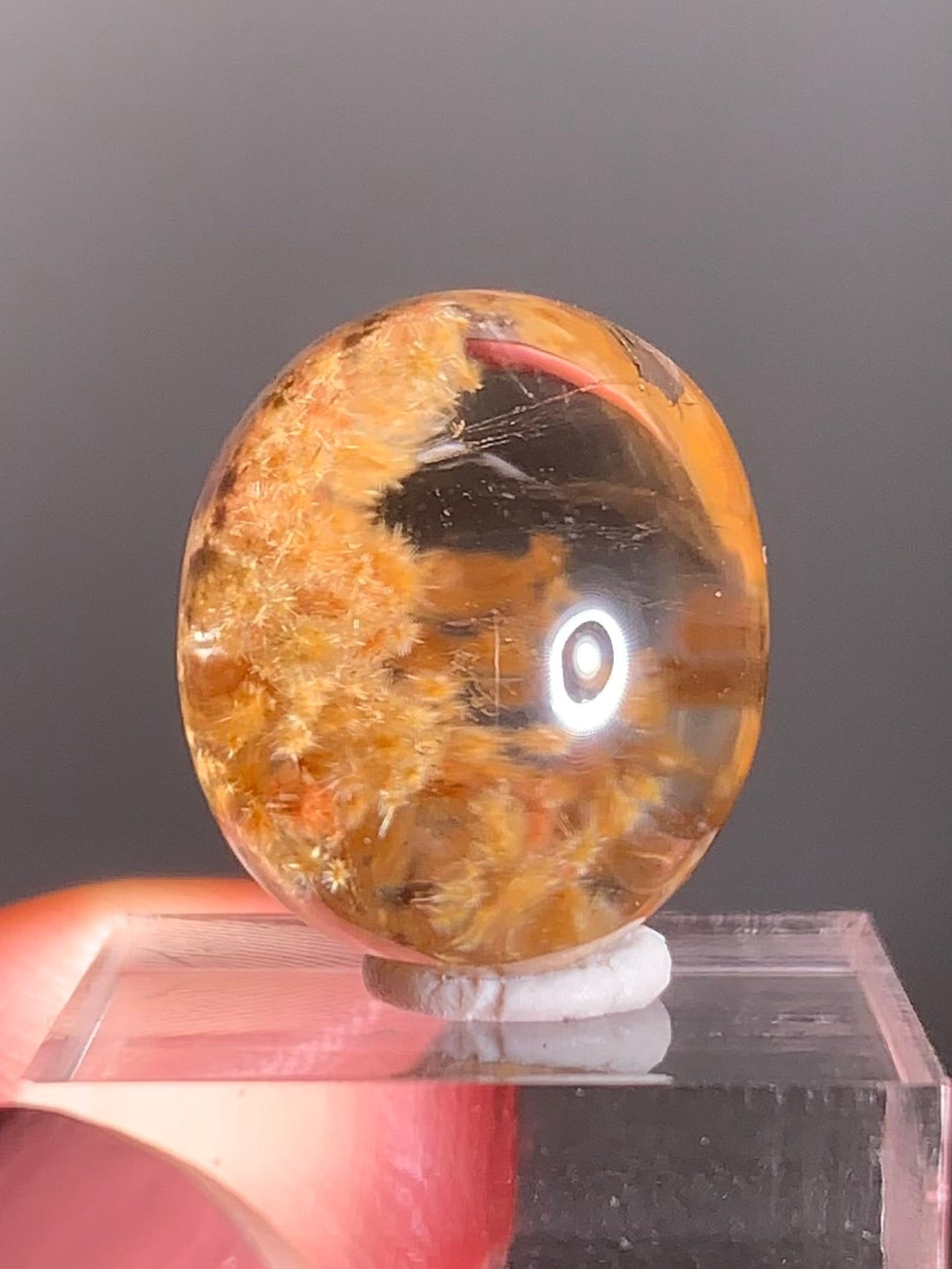 Rare Gold Starburst Rutile Quartz Polished Cabochon from Brazil