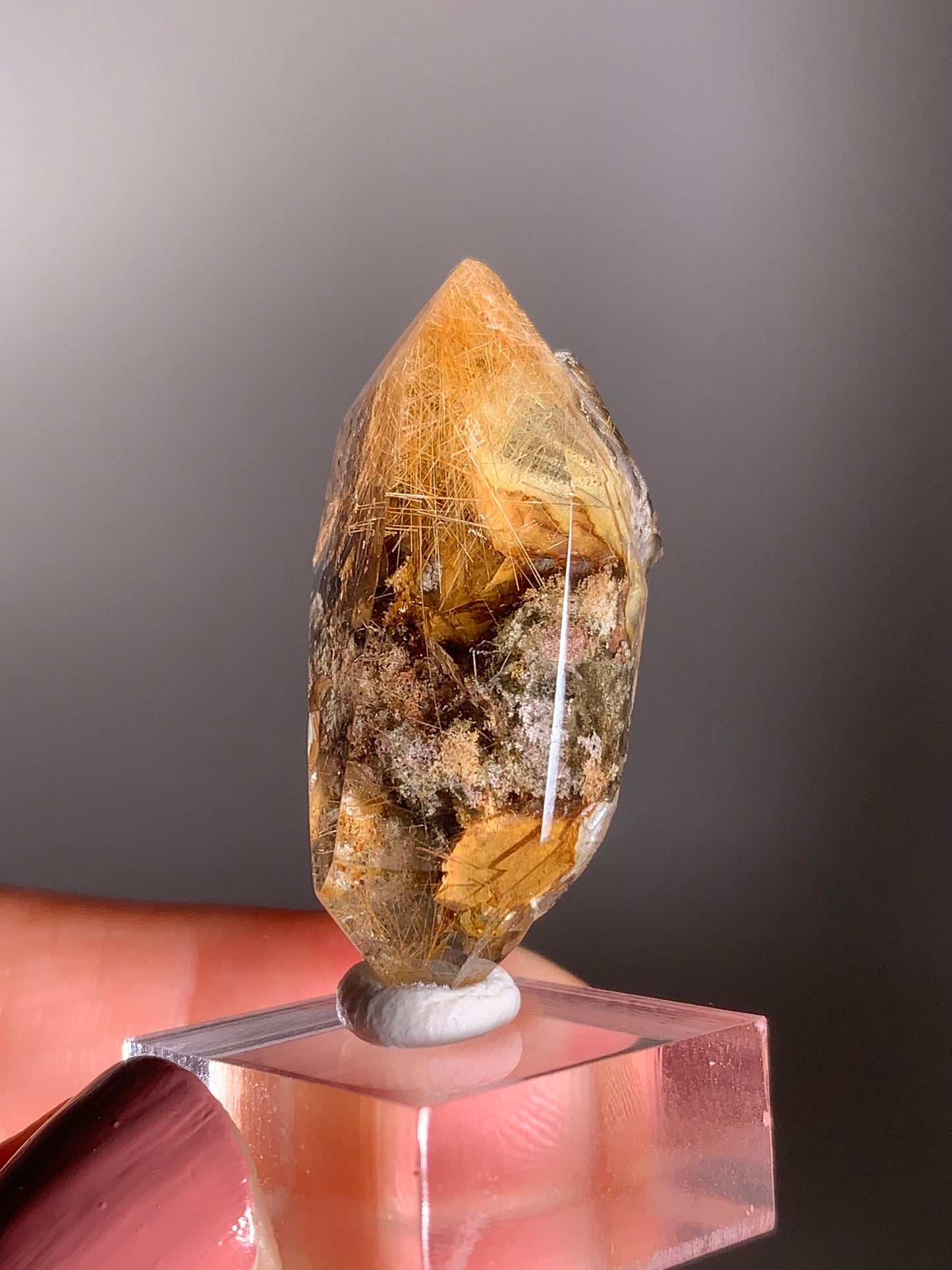 Himalayan Gold Rutile with Gold Mica & Garden Inclusion Double Terminated Quartz – Rare Collector’s Crystal