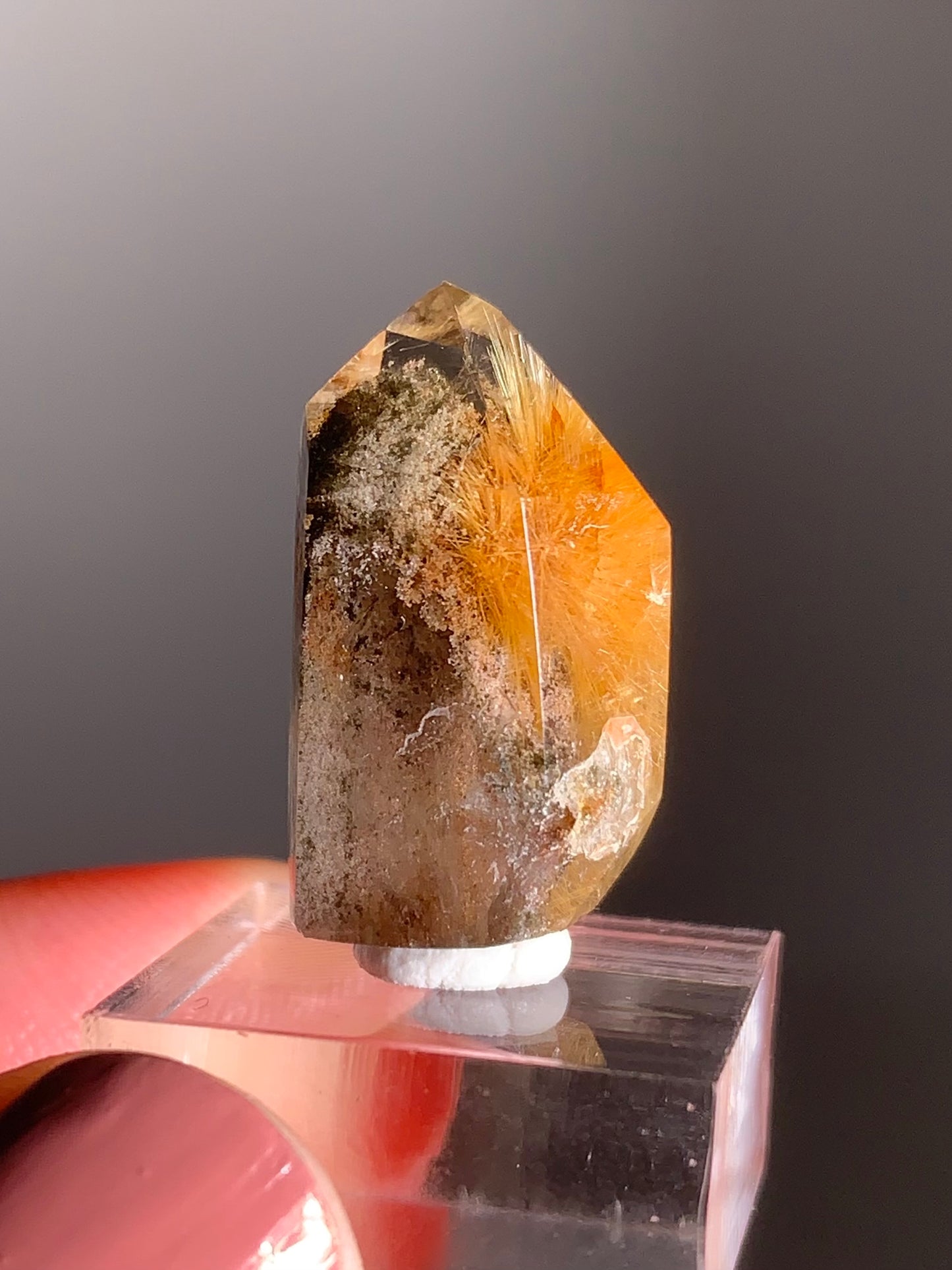 Himalayan Gold Rutile with Manifestation & Garden Inclusions Polished Quartz Tower – Rare Collector’s Crystal