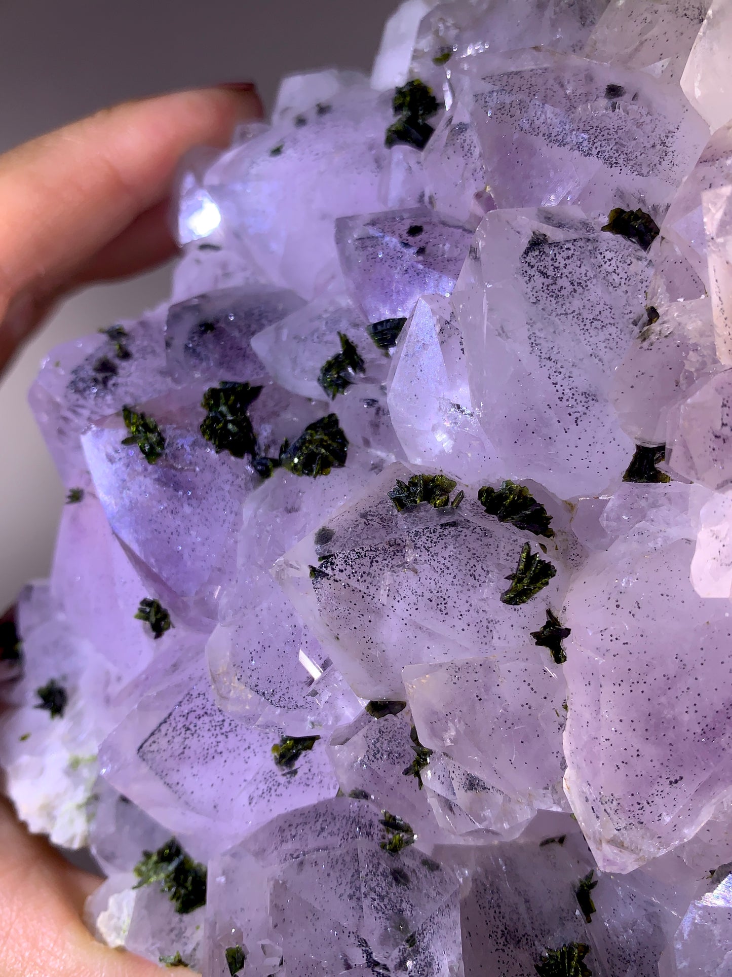 High-Grade Sichuan Garden Quartz with Shiny Black Hematite Inclusion on Amethyst & Epidote | Rare Collector Mineral Specimen