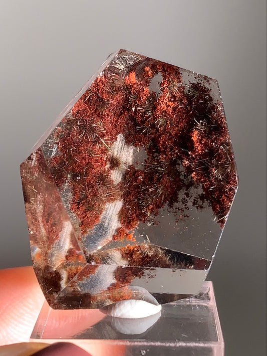 Gold & Dark Silver Flower Rutile with Red Garden Inclusion Polished Freeform from Brazil – Rare Collector’s Crystal