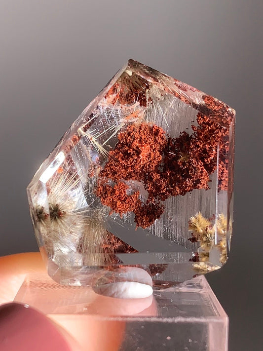 Gold Flower Rutile with Red Garden Inclusion Polished Freeform from Brazil – Rare Collector’s Crystal