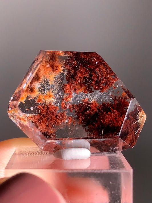 Gold Flower Rutile with Red Garden Inclusion Polished Freeform from Brazil – Rare Collector’s Crystal