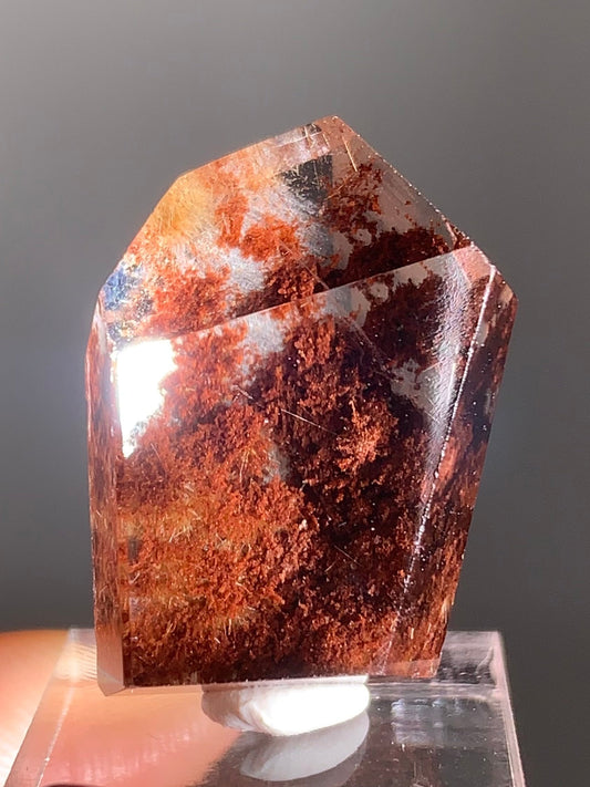 Gold Flower Rutile with Red Garden Inclusion Polished Freeform from Brazil – Rare Collector’s Crystal