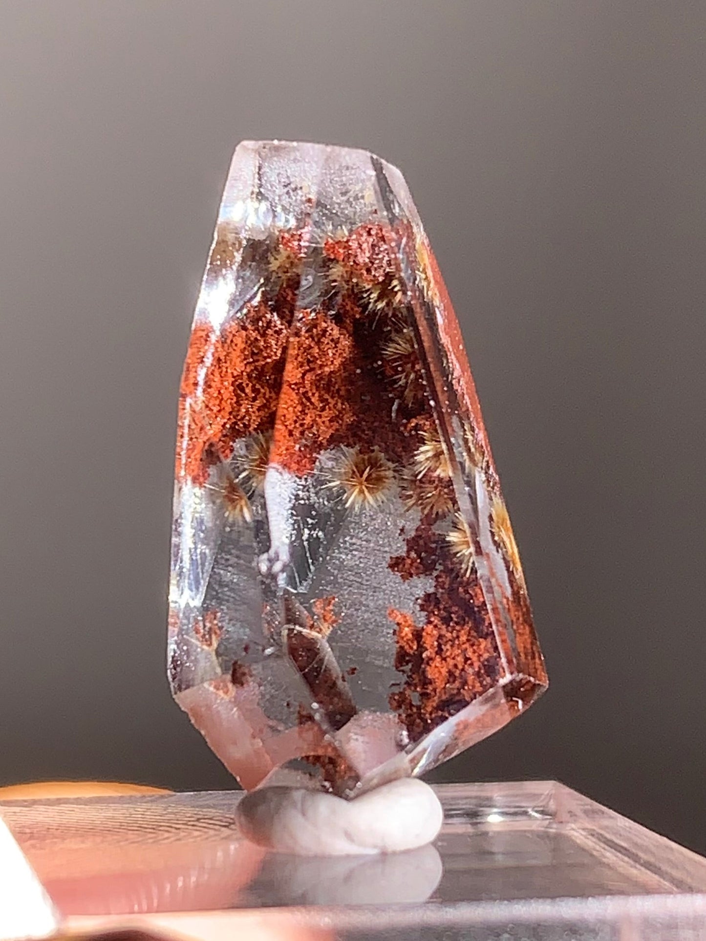 Gold Flower Rutile with Red Garden Inclusion Polished Freeform from Brazil – Rare Collector’s Crystal