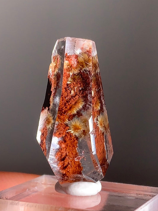 Gold Flower Rutile with Red Garden Inclusion Polished Freeform from Brazil – Rare Collector’s Crystal