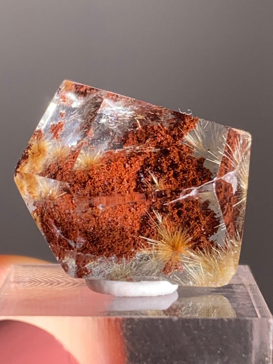 Gold Flower Rutile with Red Garden Inclusion Polished Freeform from Brazil – Rare Collector’s Crystal