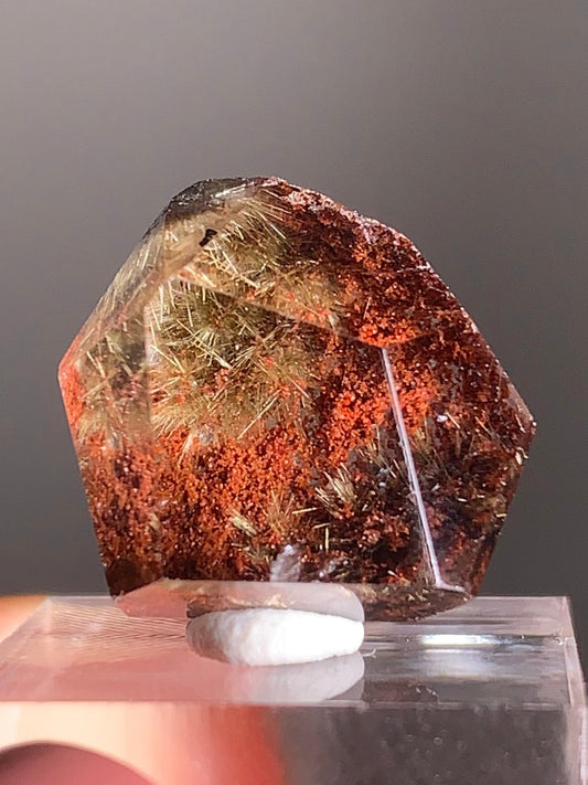 Gold Flower Rutile with Red Garden Inclusion Polished Freeform from Brazil – Rare Collector’s Crystal