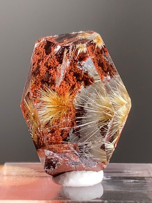 Gold Flower Rutile with Red Garden Inclusion Polished Freeform from Brazil – Rare Collector’s Crystal