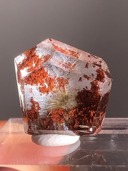 Gold Flower Rutile with Red Garden Inclusion Polished Freeform from Brazil – Rare Collector’s Crystal