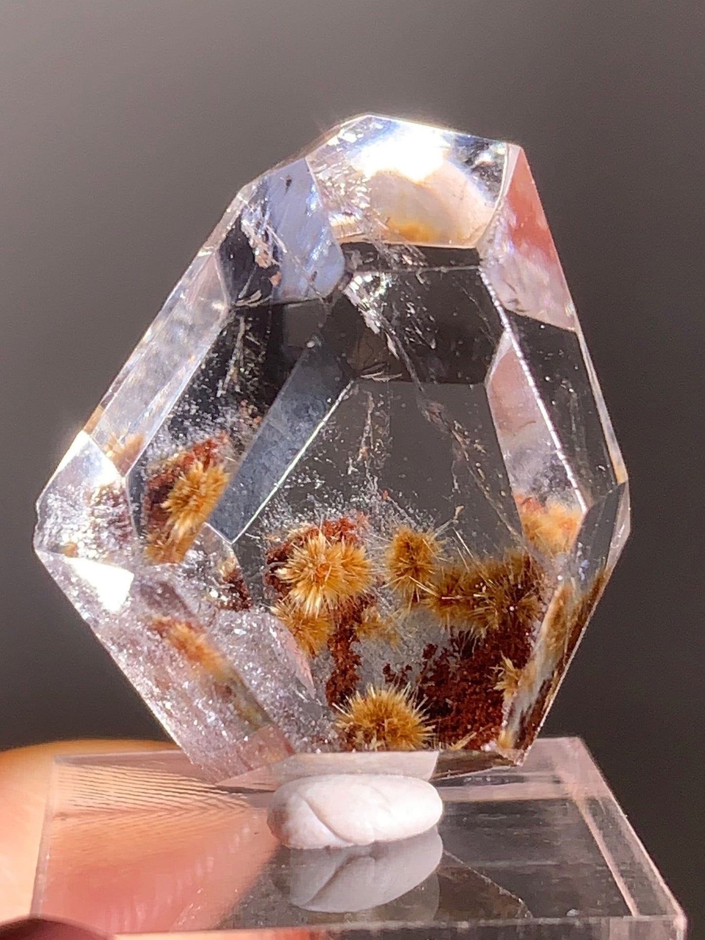 Gold Flower Rutile with Red Garden Inclusion Polished Freeform from Brazil – Rare Collector’s Crystal