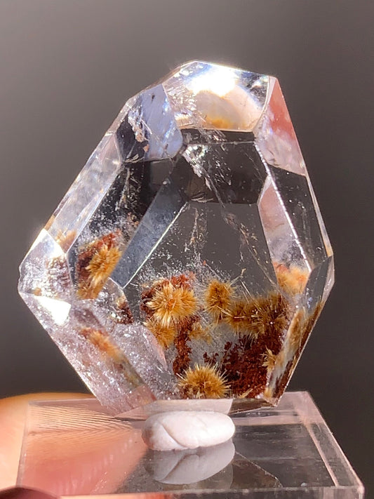 Gold Flower Rutile with Red Garden Inclusion Polished Freeform from Brazil – Rare Collector’s Crystal