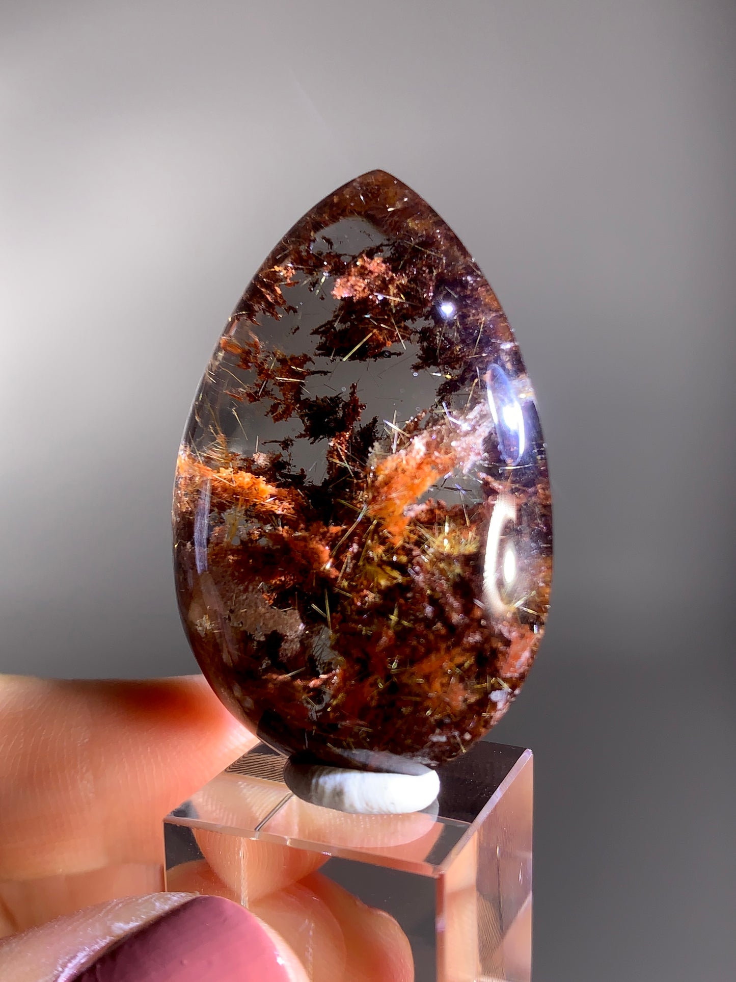 High-Grade Red & Pink Four Season Garden Quartz with Gold Rutile Polished Teardrop from Brazil