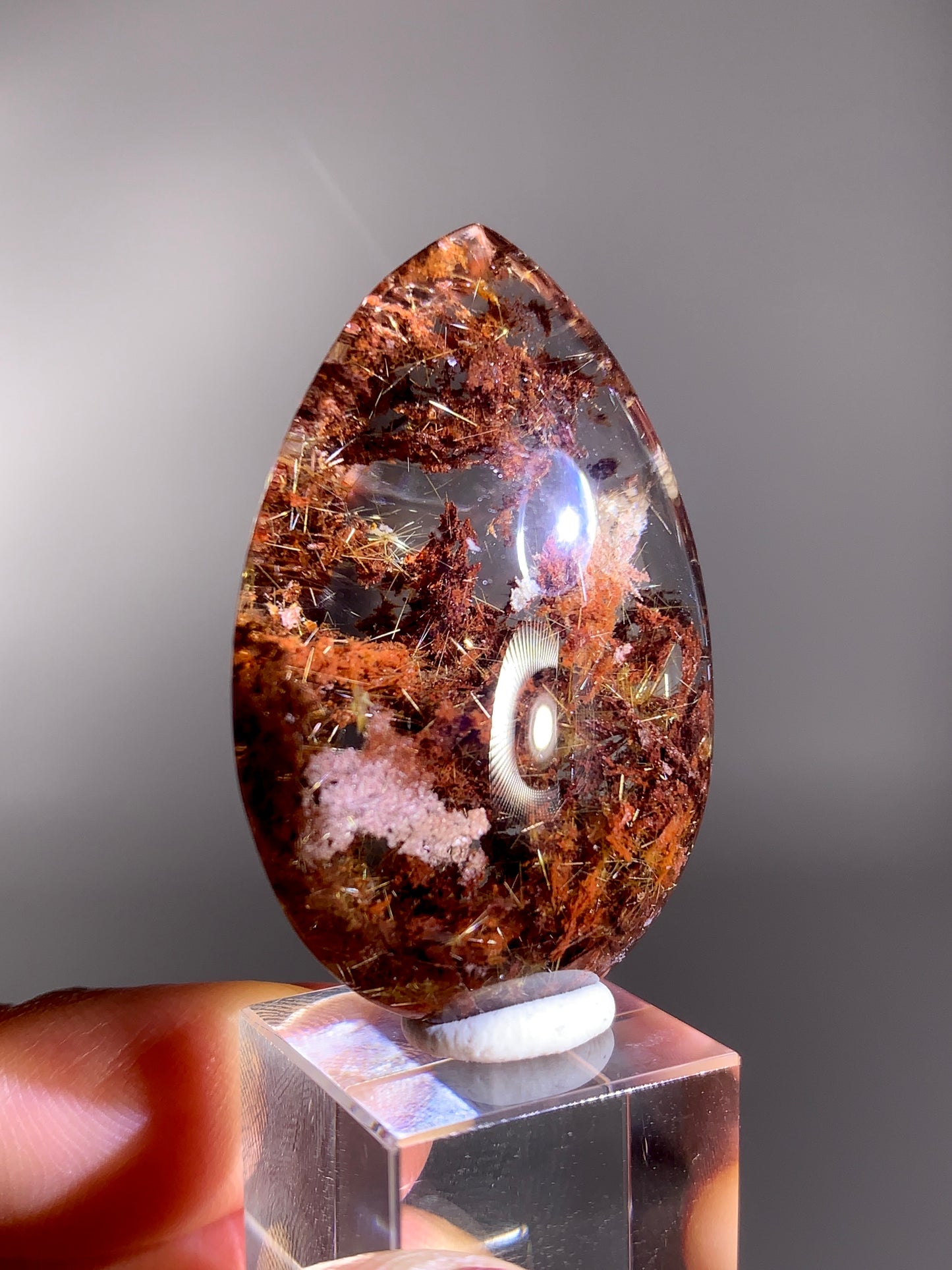 High-Grade Red & Pink Four Season Garden Quartz with Gold Rutile Polished Teardrop from Brazil