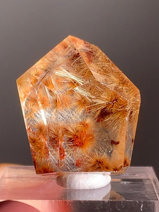 Gold Flower Rutile with Red Garden Inclusion Polished Freeform from Brazil – Rare Collector’s Crystal