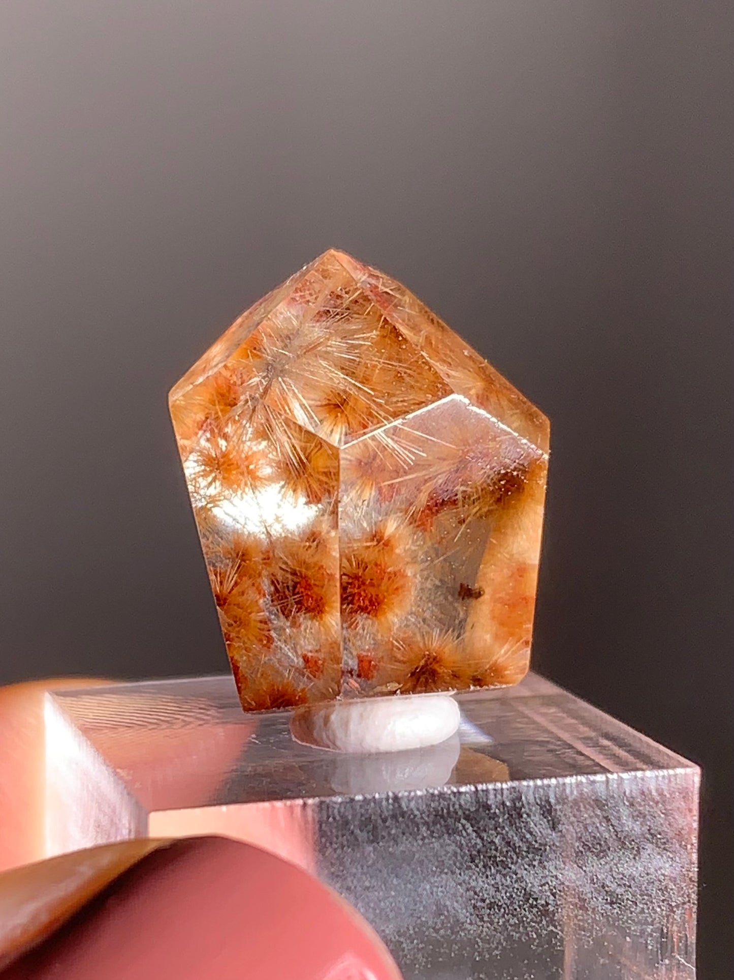 Gold Flower Rutile with Red Garden Inclusion Polished Freeform from Brazil – Rare Collector’s Crystal