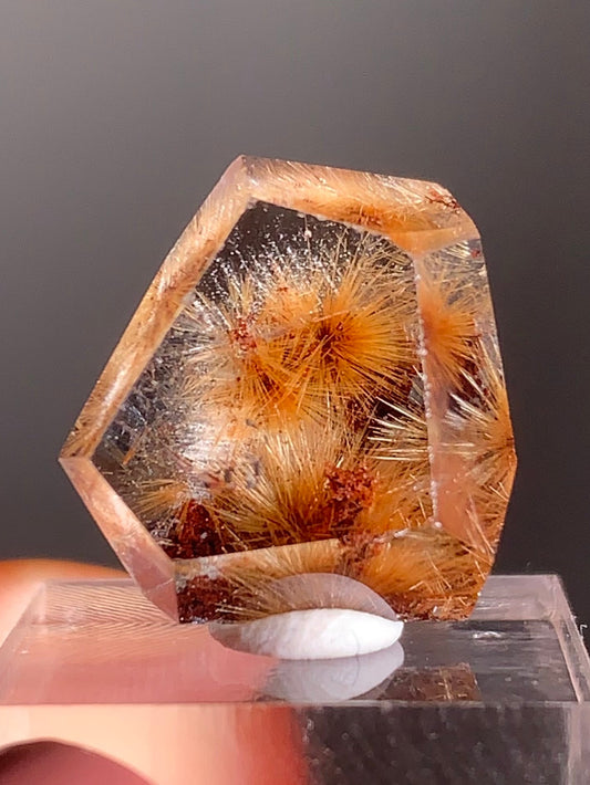 Gold Flower Rutile with Red Garden Inclusion Polished Freeform from Brazil – Rare Collector’s Crystal