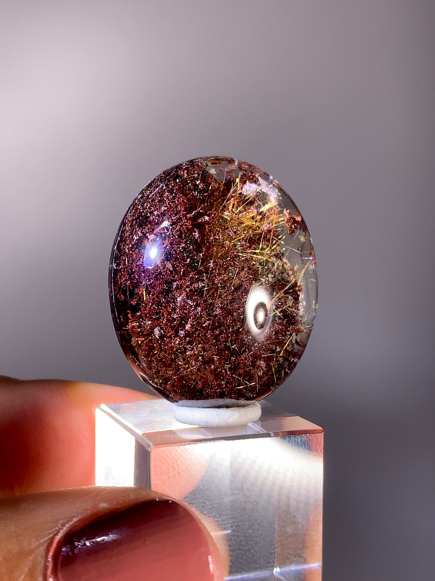 High-Grade Red Four Season Garden Quartz with Gold Rutile Polished Cabochon from Brazil