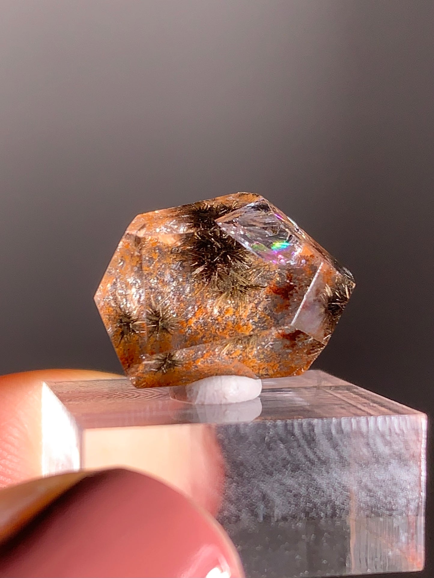 Gold Flower Rutile with Orange Garden Inclusion Polished Freeform from Brazil – Rare Collector’s Crystal