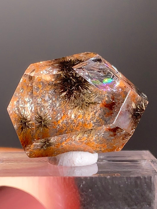 Gold Flower Rutile with Orange Garden Inclusion Polished Freeform from Brazil – Rare Collector’s Crystal