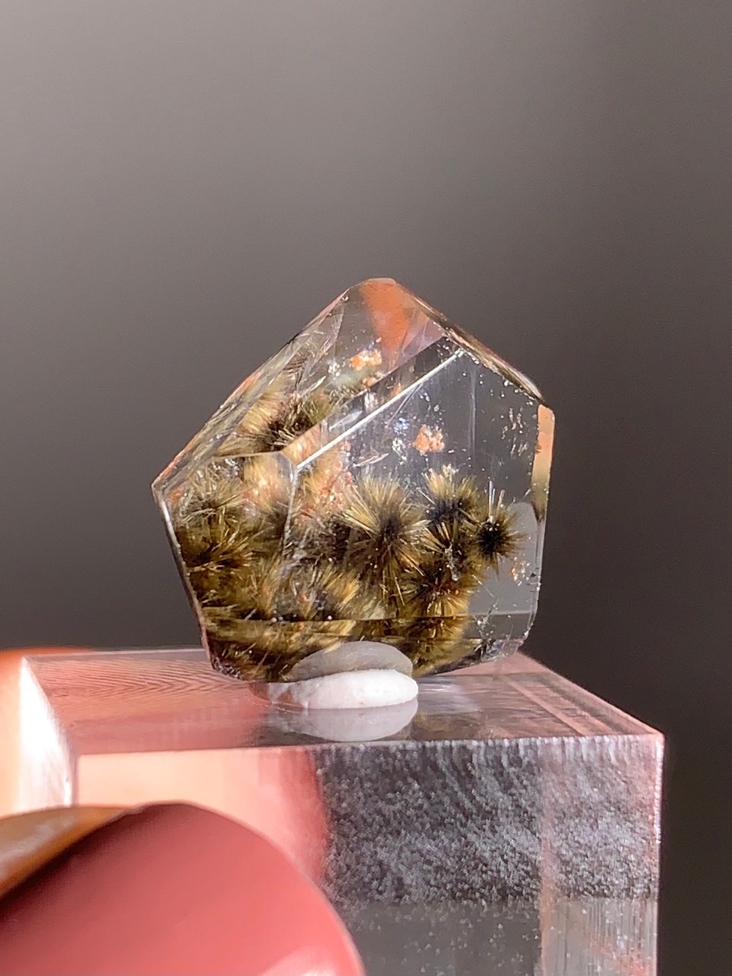 Black and Greenish-Gold Flower Rutile Polished Freeform from Brazil – Rare Collector’s Crystal
