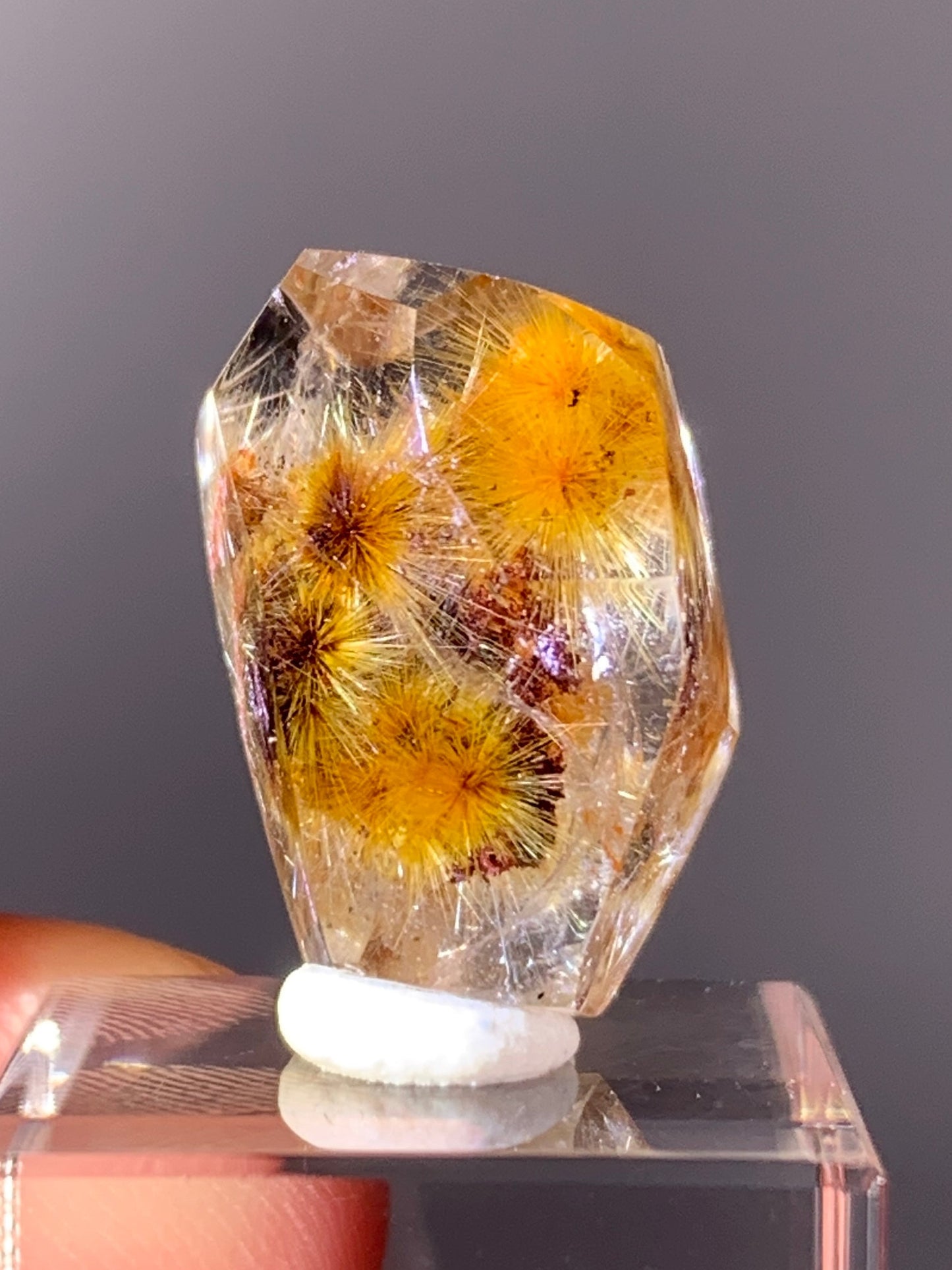 High-Grade Gold Flower Rutile with Red Garden Quartz Freeform from Brazil | Rare Inclusion Quartz Collector Specimen