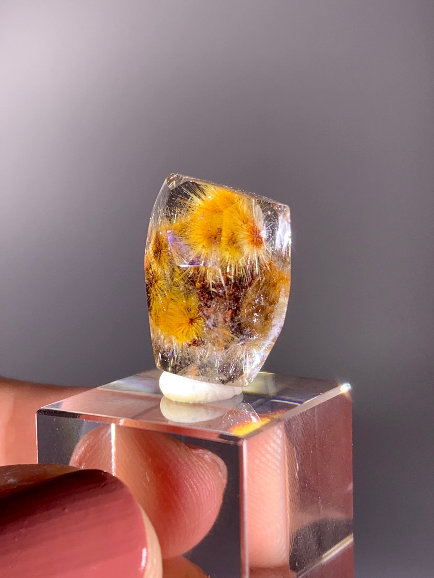 High-Grade Gold Flower Rutile with Red Garden Quartz Freeform from Brazil | Rare Inclusion Quartz Collector Specimen