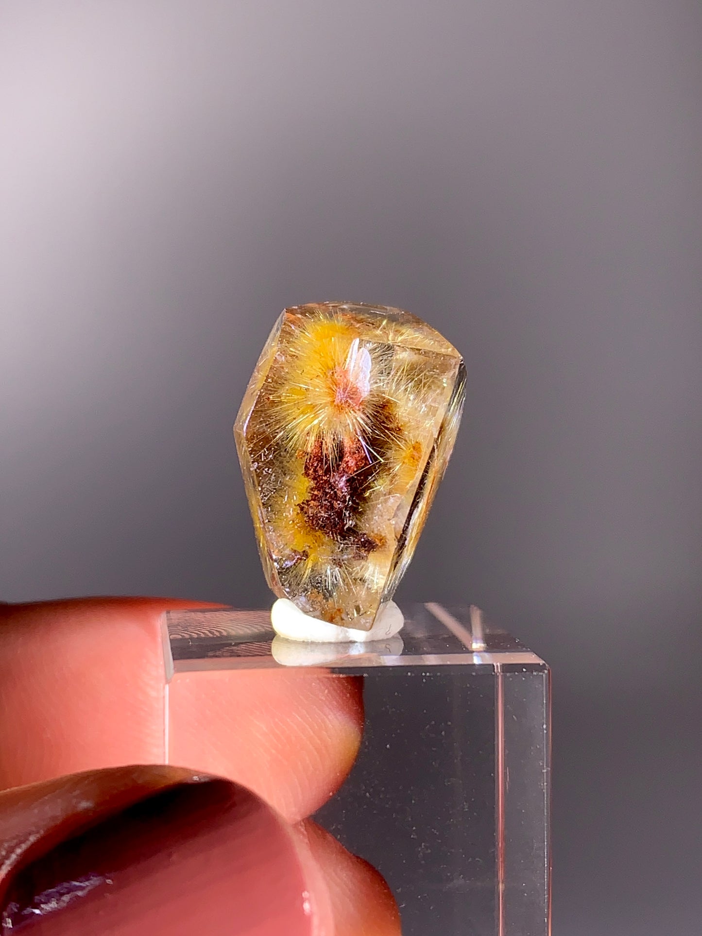 High-Grade Gold Flower Rutile with Red Garden Quartz Freeform from Brazil | Rare Inclusion Quartz Collector Specimen