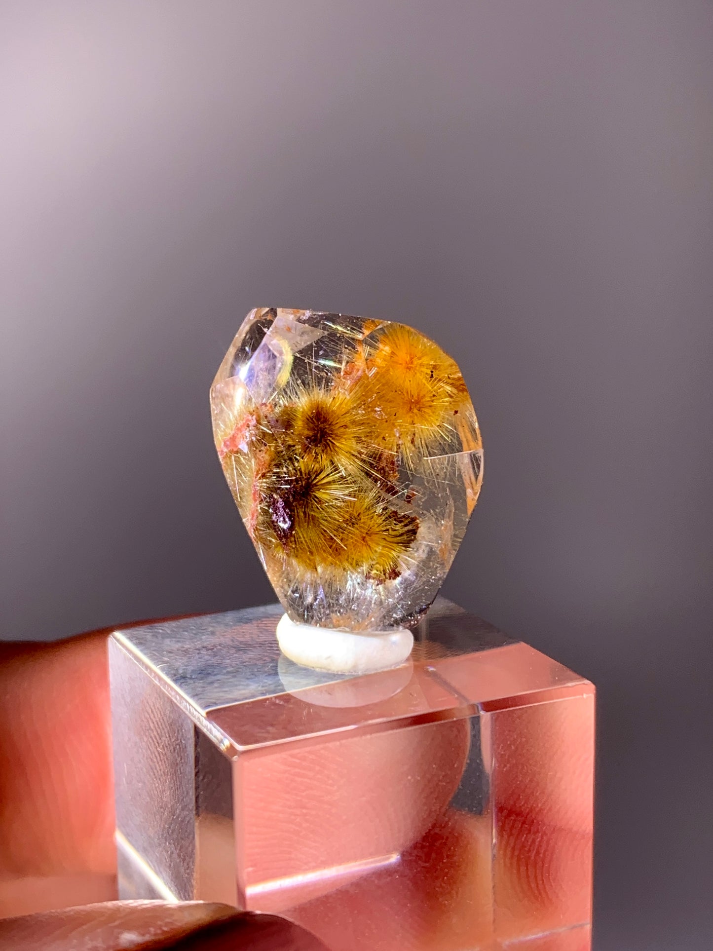 High-Grade Gold Flower Rutile with Red Garden Quartz Freeform from Brazil | Rare Inclusion Quartz Collector Specimen