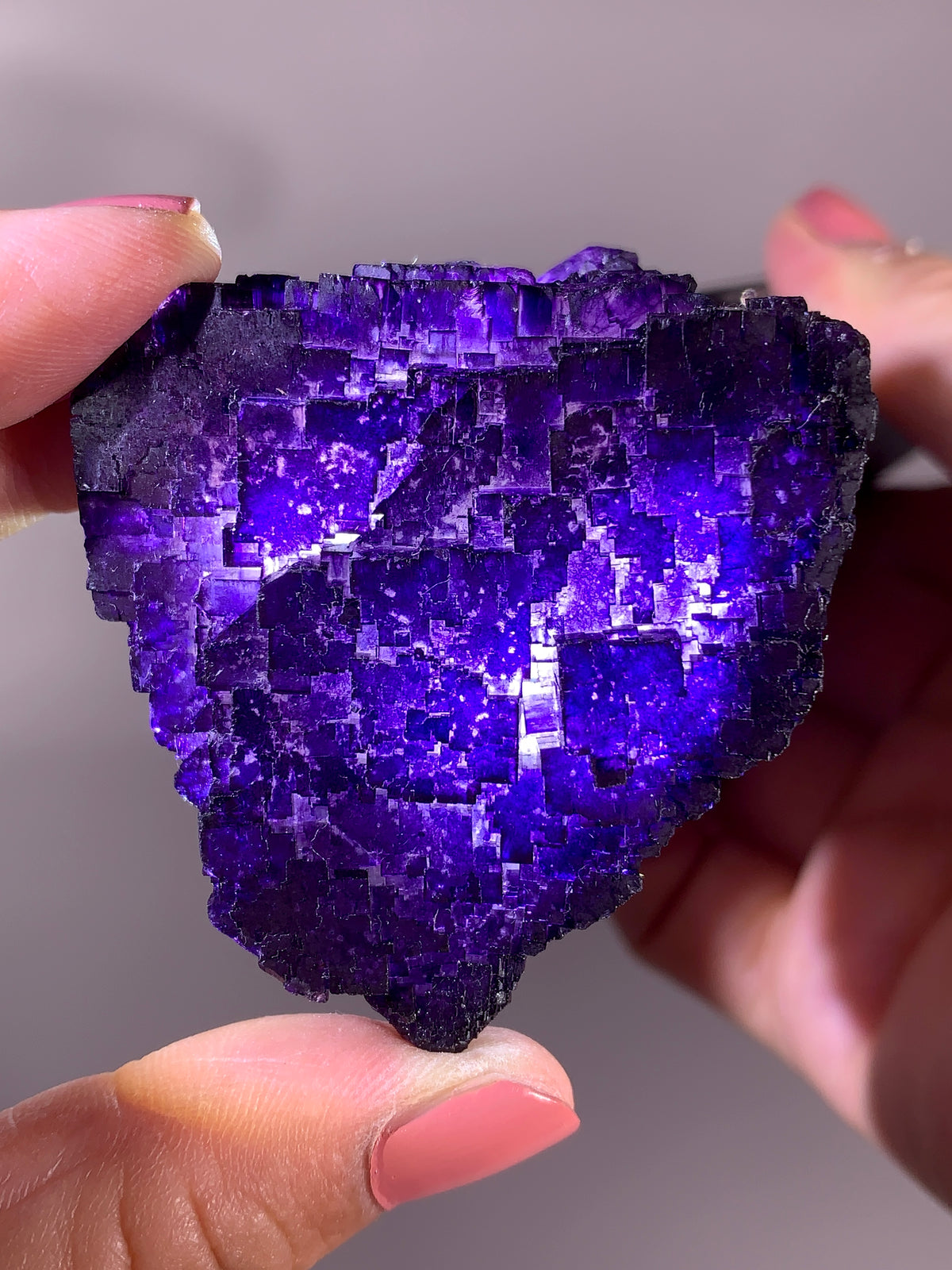 High-Grade Múzquiz Fluorite Mineral Specimen | Coahuila, Mexico Collector Crystal