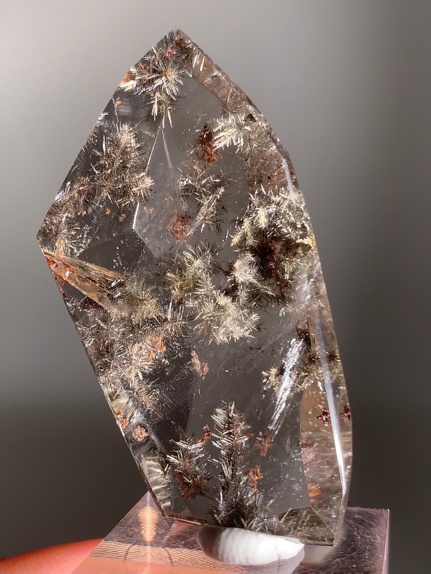 Rare Silver Flower Rutile Polished Freeform from Brazil – Collector’s Crystal