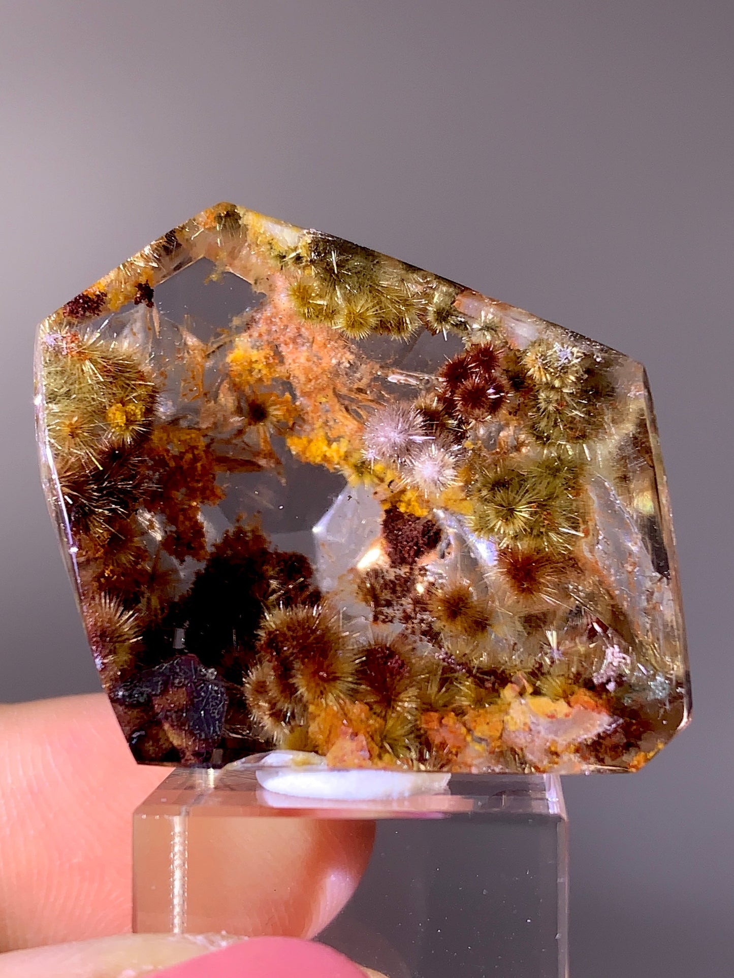 Collector’s Grade Rare Pink, Red & Gold Flower Rutile Garden Quartz Freeform | Brazil