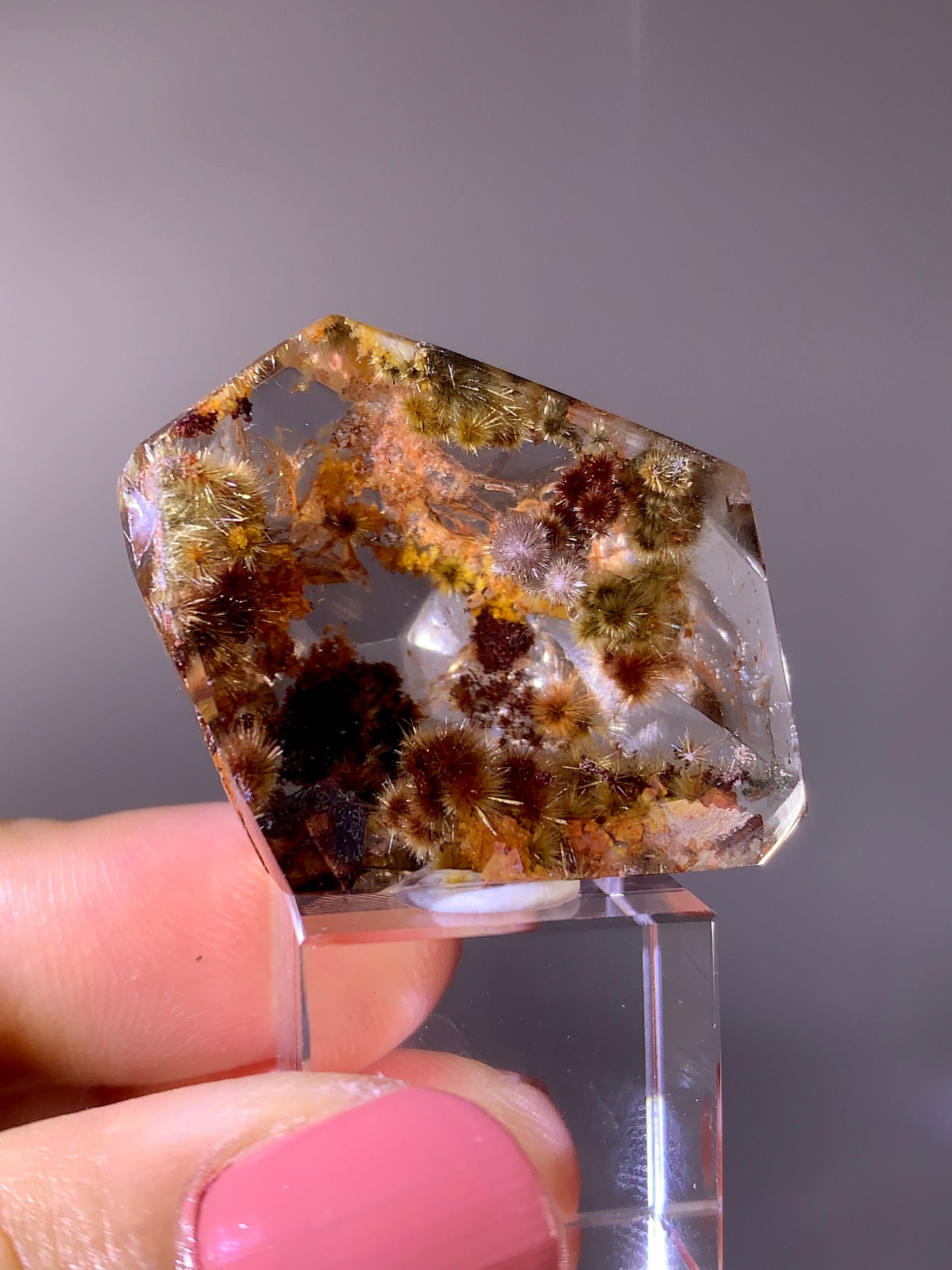 Collector’s Grade Rare Pink, Red & Gold Flower Rutile Garden Quartz Freeform | Brazil