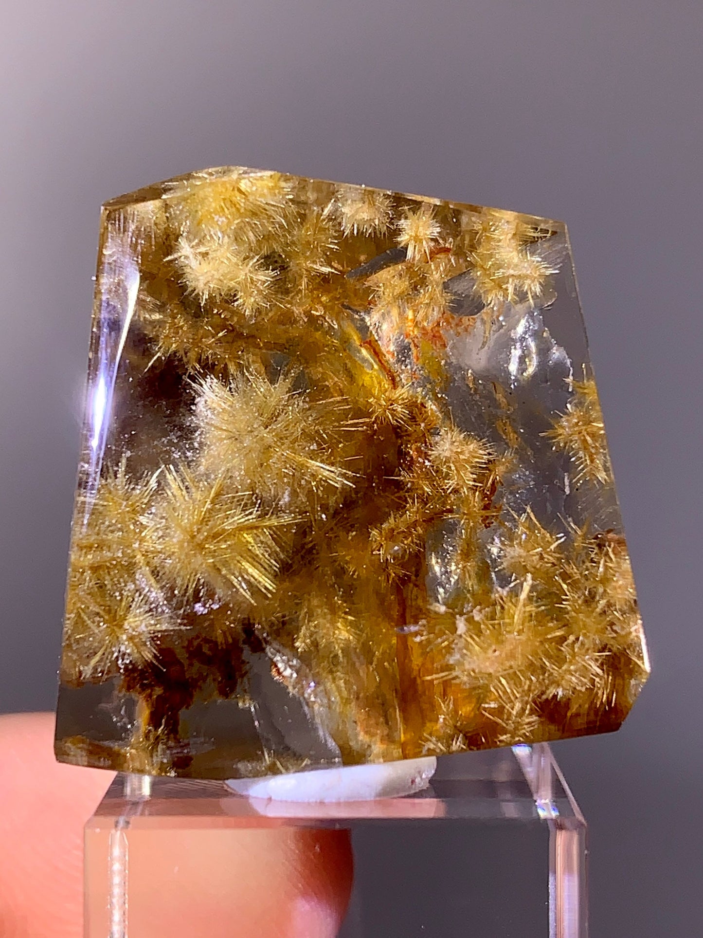 High-Quality Rare Snowflake-Shaped Gold Flower Rutile Quartz Freeform | Brazil