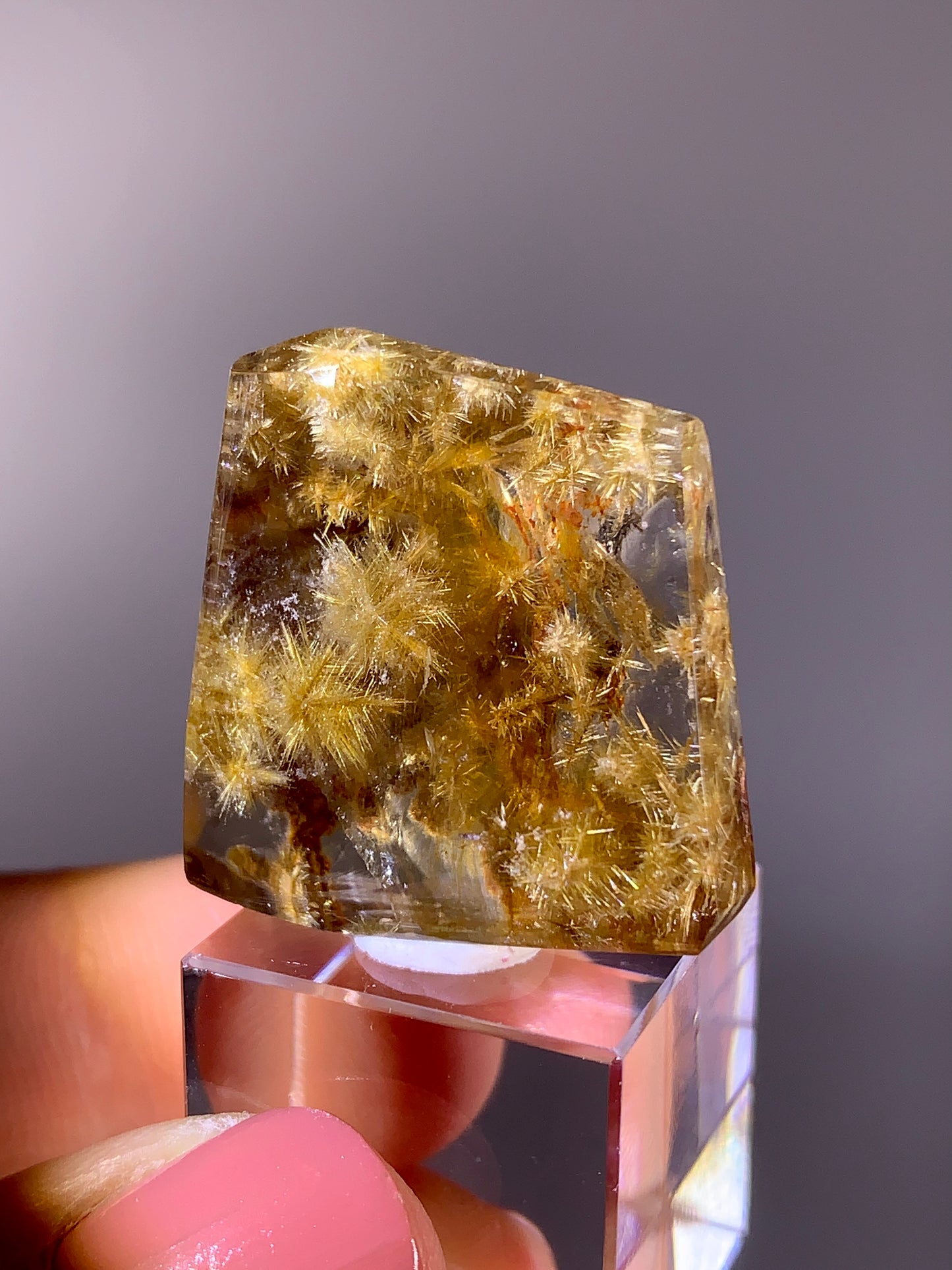 High-Quality Rare Snowflake-Shaped Gold Flower Rutile Quartz Freeform | Brazil