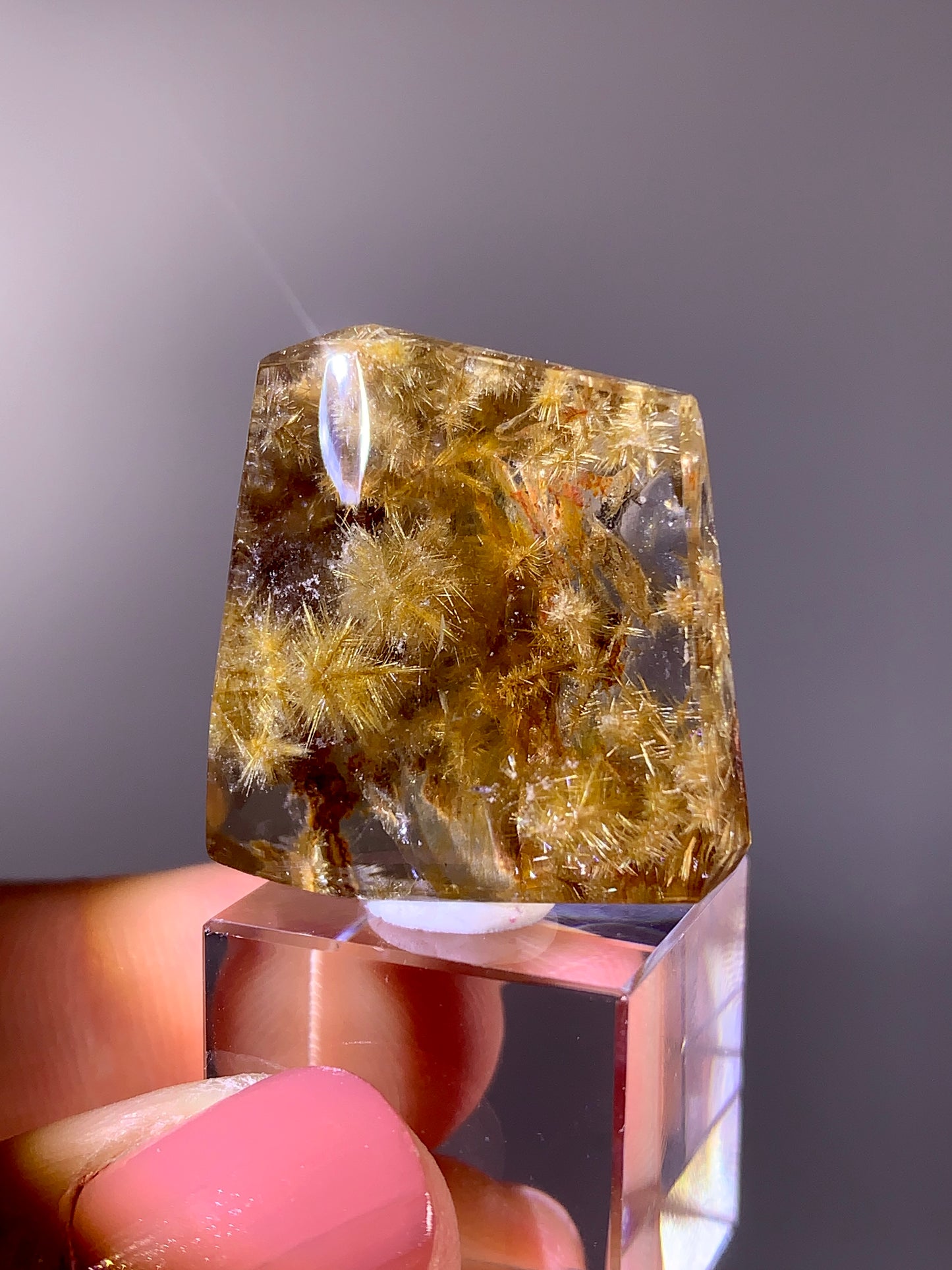 High-Quality Rare Snowflake-Shaped Gold Flower Rutile Quartz Freeform | Brazil