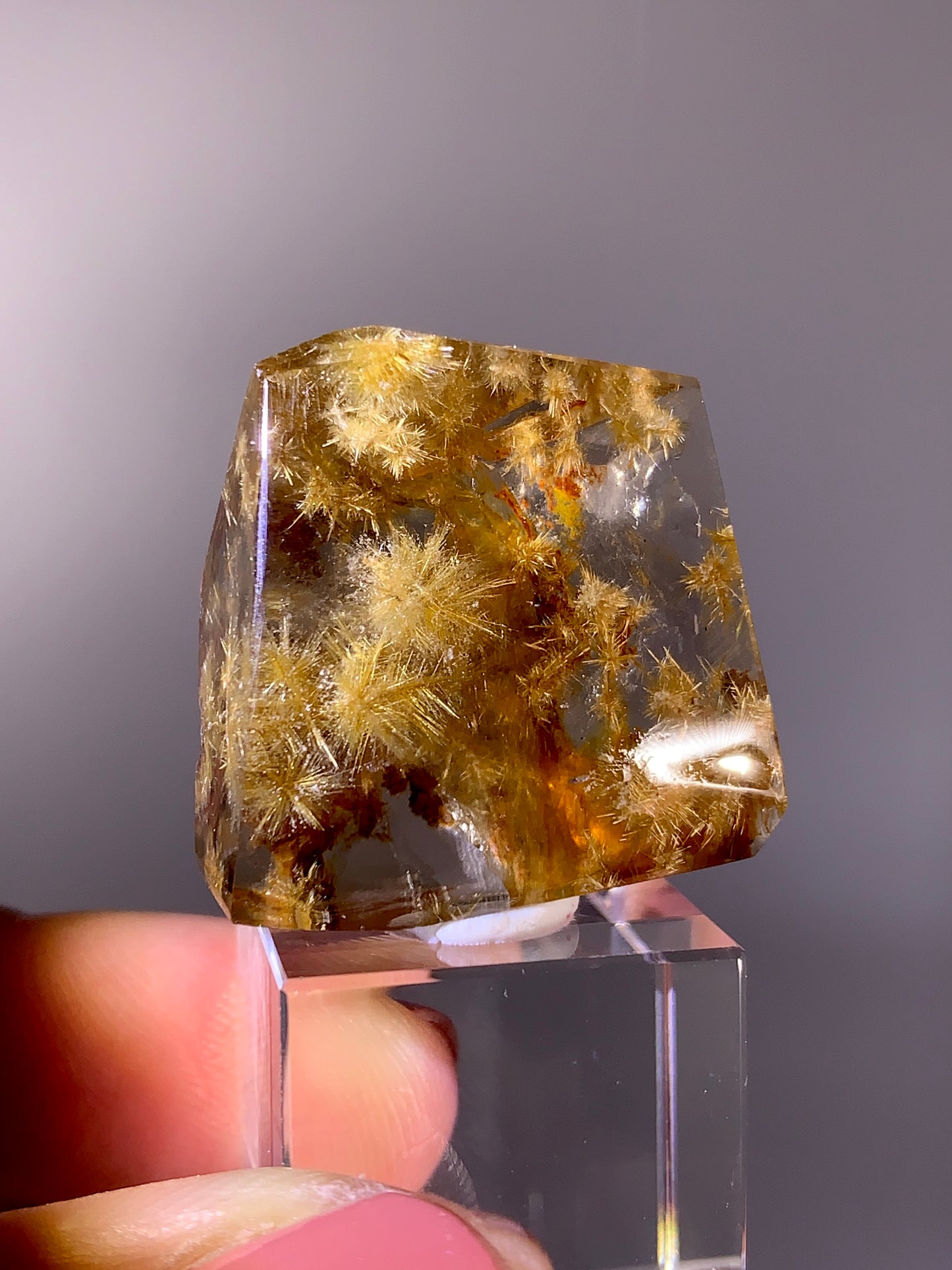 High-Quality Rare Snowflake-Shaped Gold Flower Rutile Quartz Freeform | Brazil