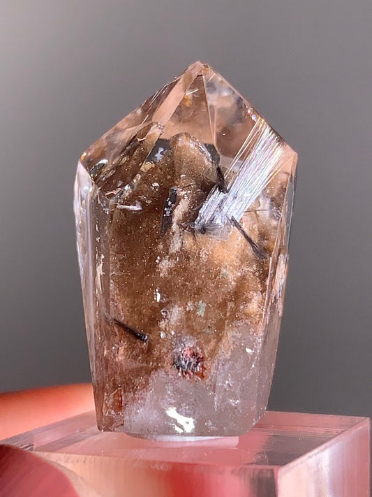 Rare Dark Silver Brookite Rutile in Brown Garden Quartz Crystal from Brazil