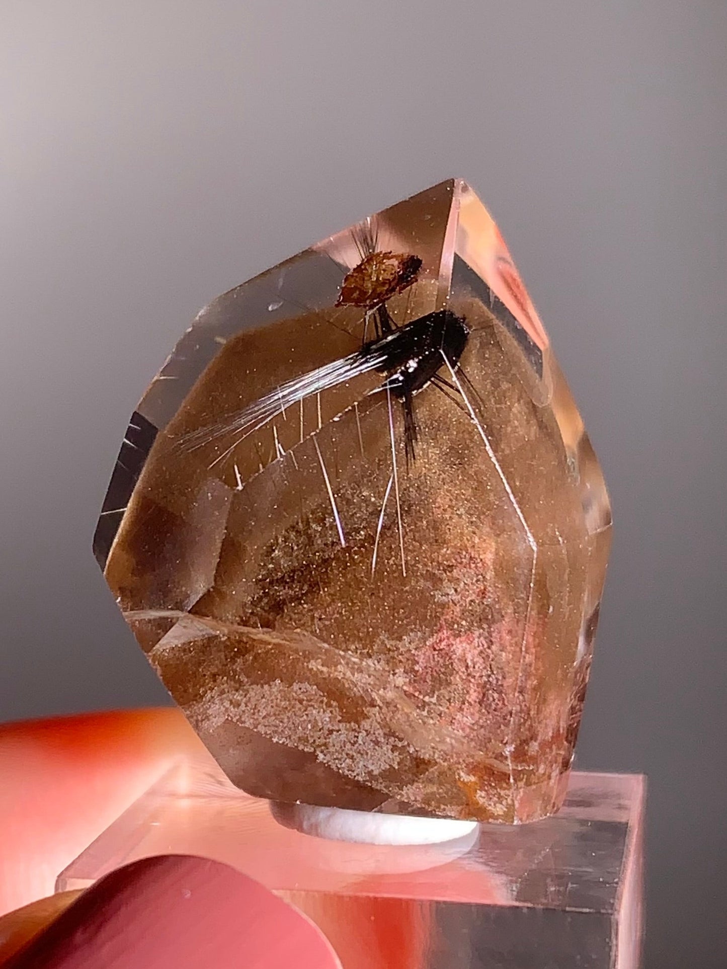 Rare Dark Silver Brookite Rutile in Brown Garden Quartz Crystal from Brazil