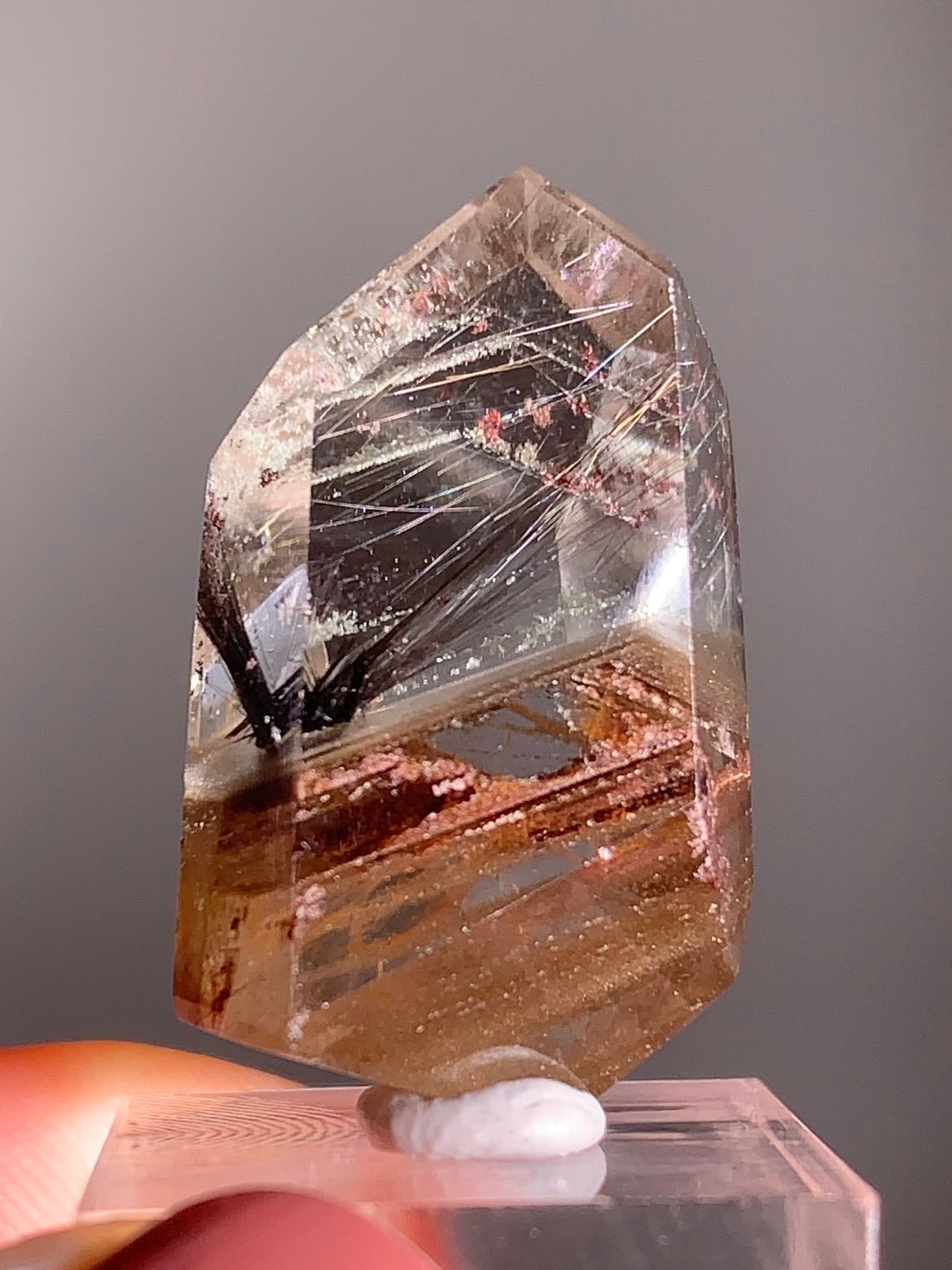 Rare Dark Silver Brookite Rutile in Brown Garden Quartz Crystal from Brazil