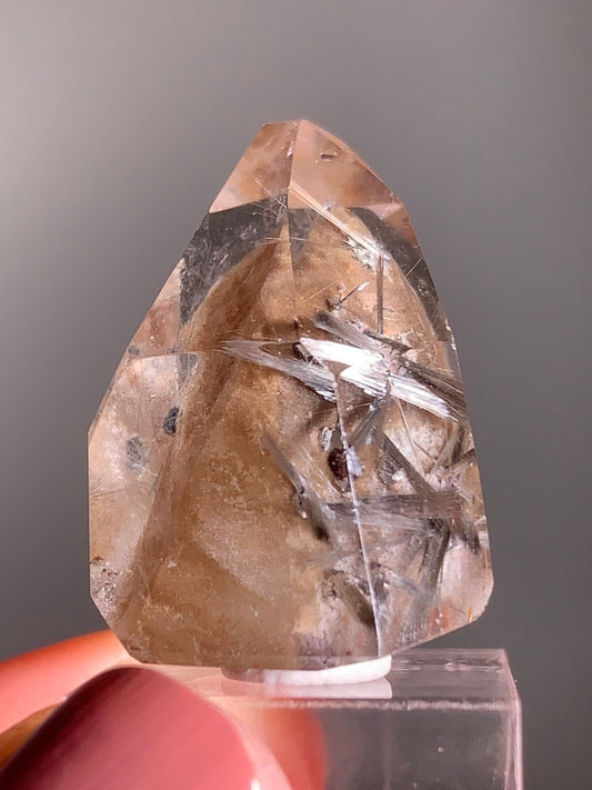 Rare Dark Silver Brookite Rutile in Brown Garden Quartz Crystal from Brazil