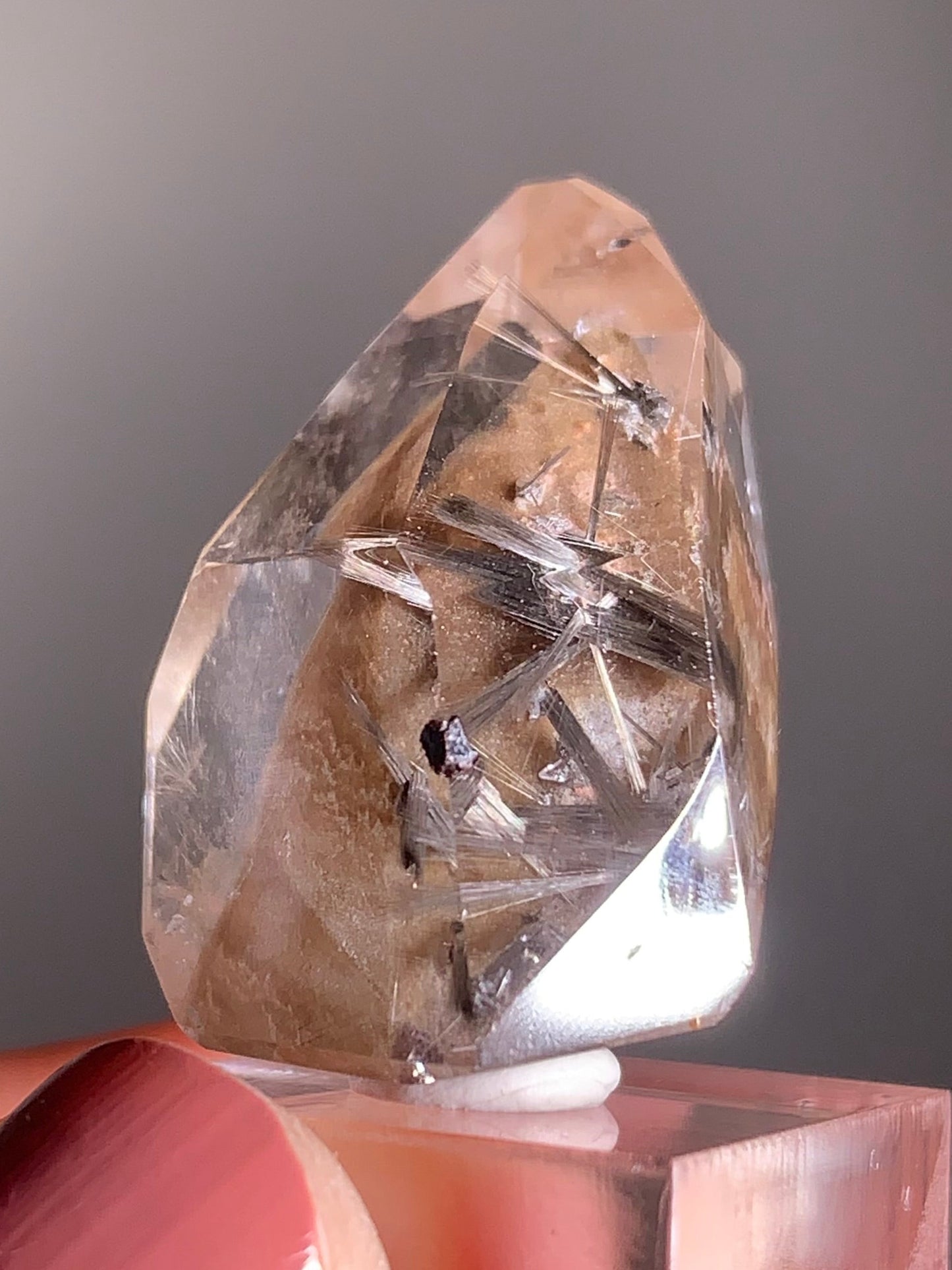 Rare Dark Silver Brookite Rutile in Brown Garden Quartz Crystal from Brazil