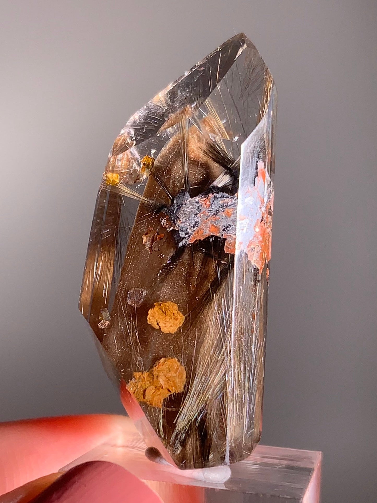 Rare Dark Silver Brookite Rutile with Manifestations in Brown Garden Quartz Crystal from Brazil