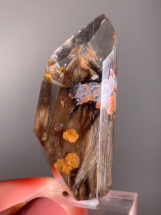 Rare Dark Silver Brookite Rutile with Manifestations in Brown Garden Quartz Crystal from Brazil