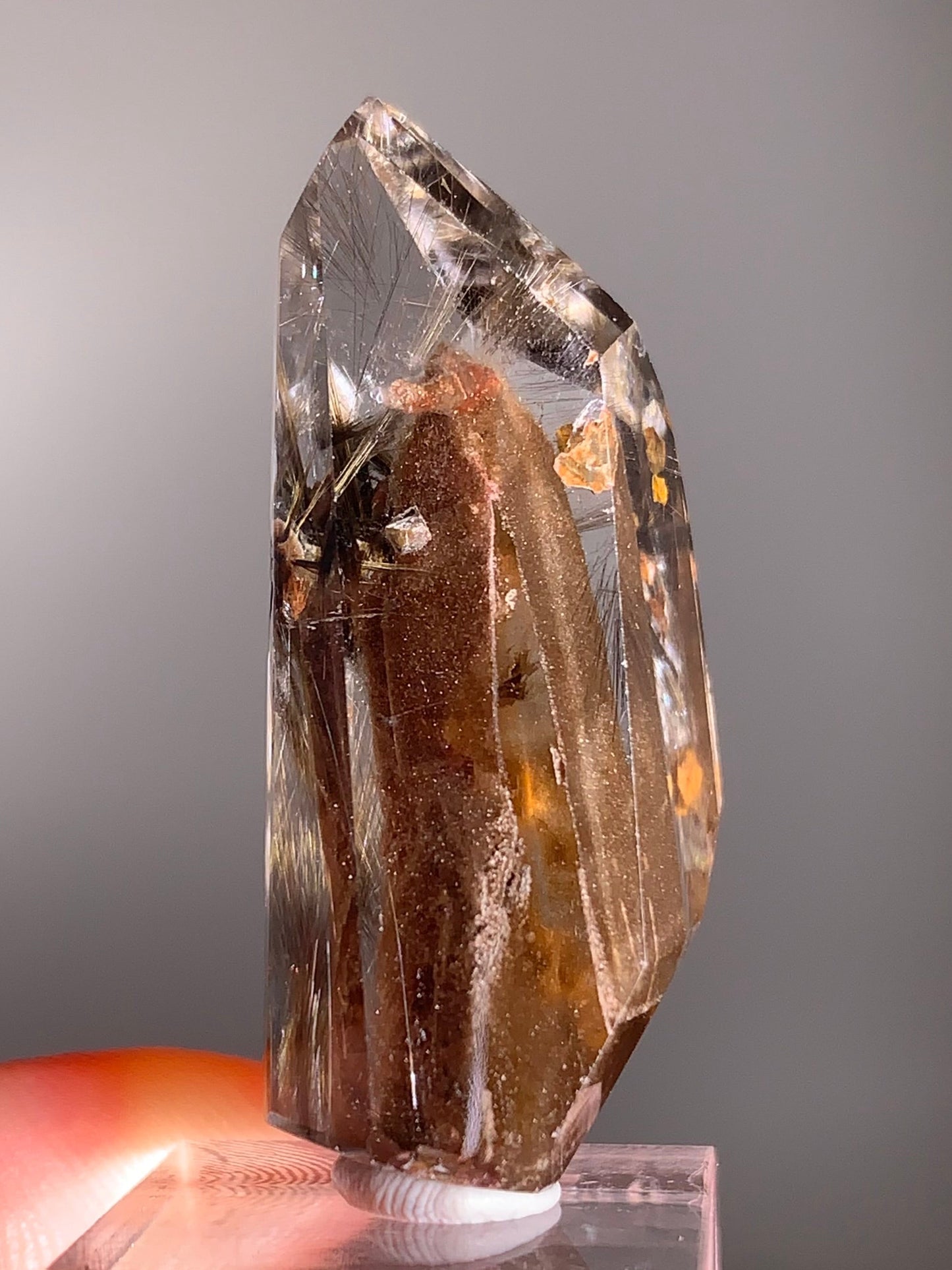 Rare Dark Silver Brookite Rutile with Manifestations in Brown Garden Quartz Crystal from Brazil
