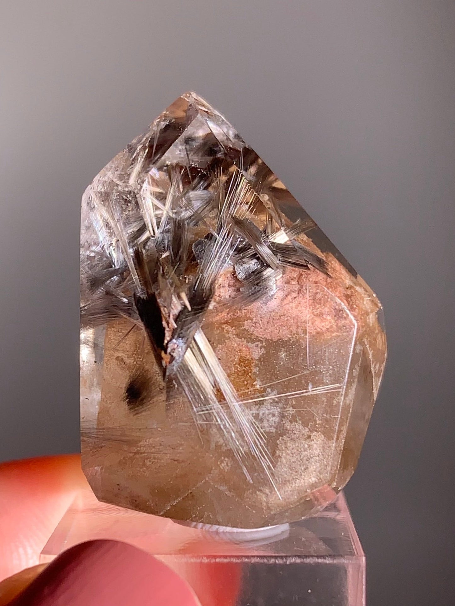 Rare Dark Silver Brookite Rutile in Brown Garden Quartz Crystal from Brazil