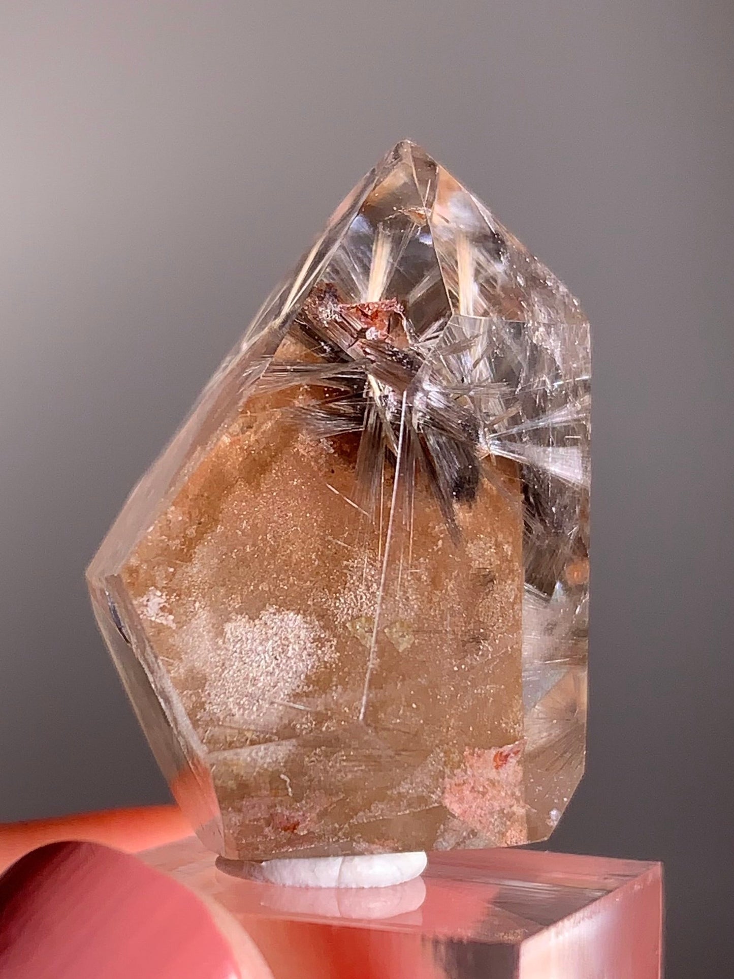 Rare Dark Silver Brookite Rutile in Brown Garden Quartz Crystal from Brazil