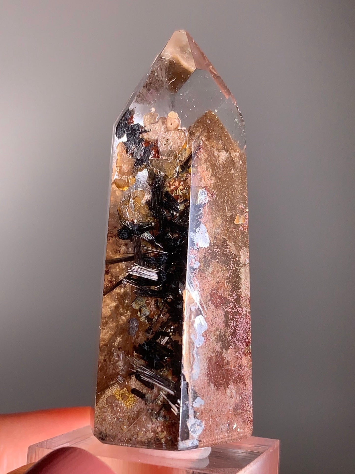 Rare Dark Silver Brookite Rutile in Brown Garden Quartz Crystal from Brazil