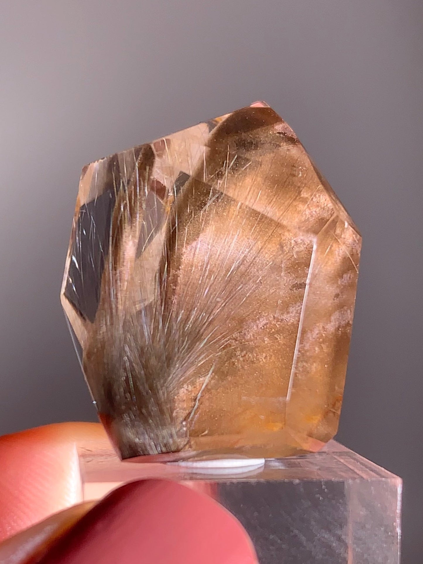 Rare Dark Silver Brookite Rutile in Brown Garden Quartz Crystal from Brazil