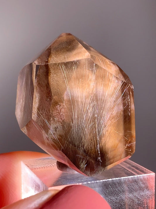 Rare Dark Silver Brookite Rutile in Brown Garden Quartz Crystal from Brazil